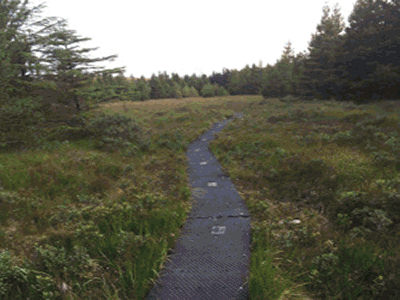 derroura trail/location